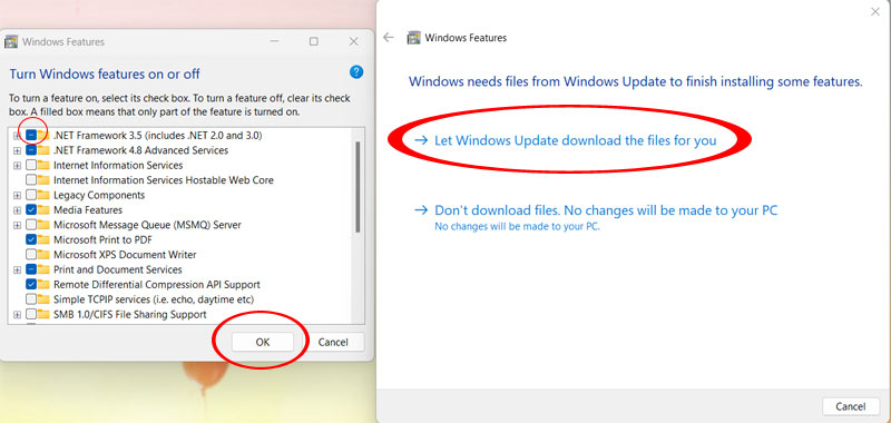 Tích chọn .NET Framwork 3.5 để cài đặt